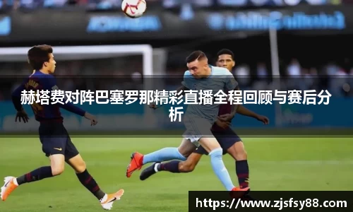 3377体育官网入口